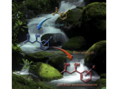 Catalytic asymmetric reactions.png