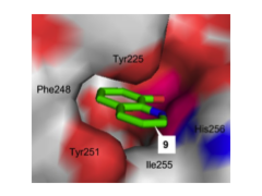 zinc enzyme inhibitors.png