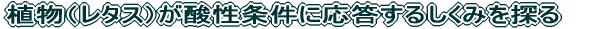 Ai^Xj_ɉ邵݂T 