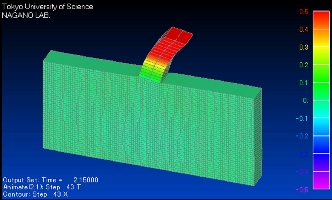 ssi1.jpg